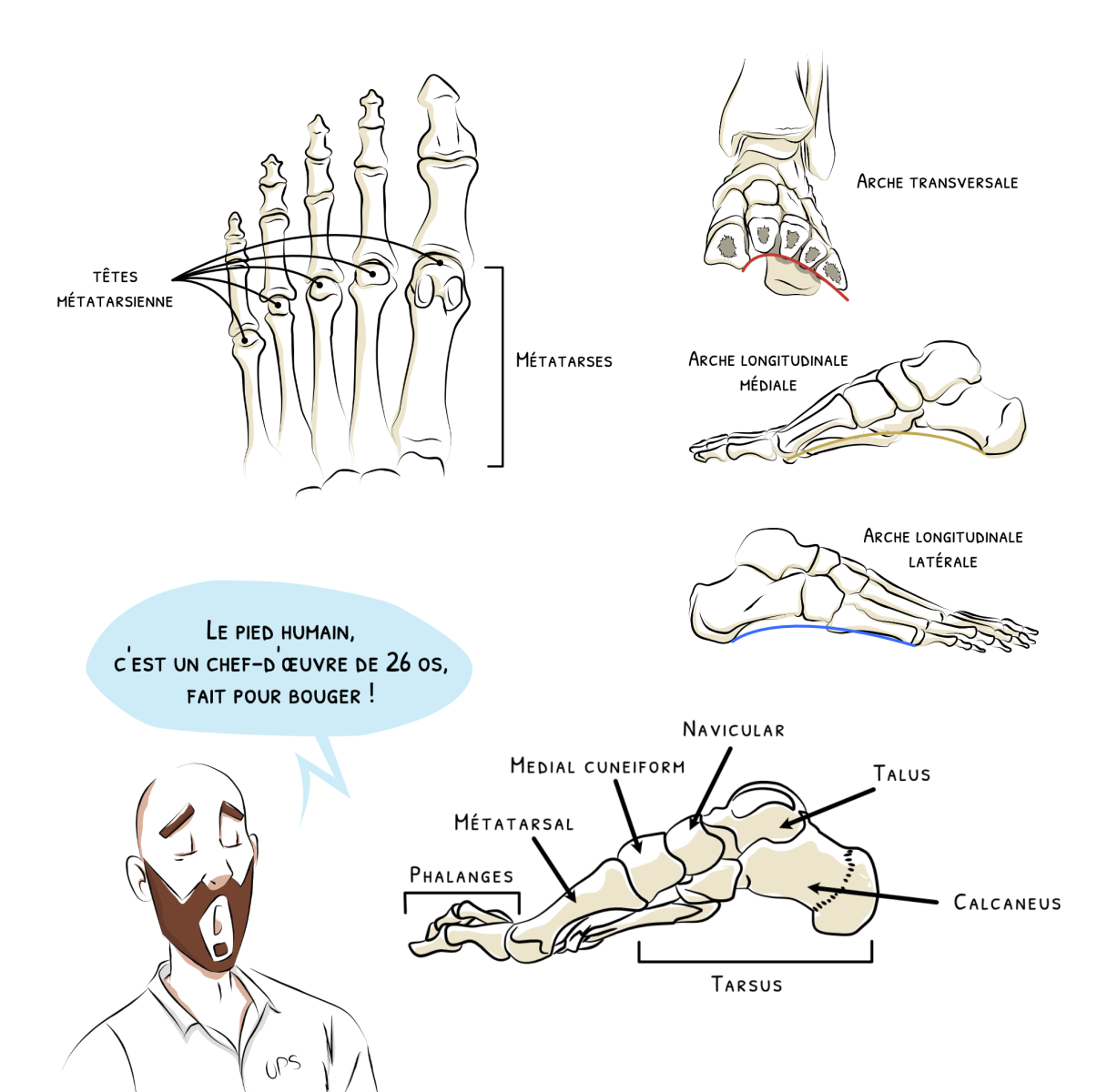 Description de l'image