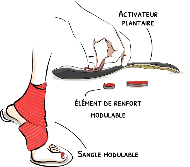 Description de l'image