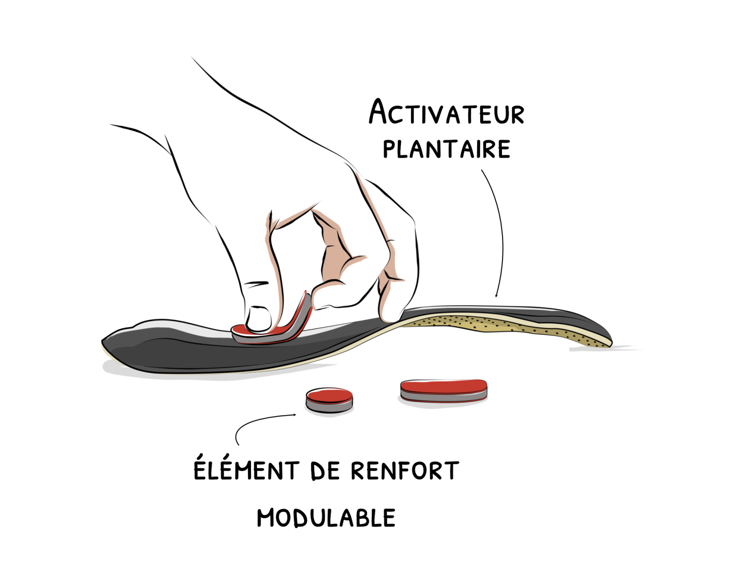 Description de l'image