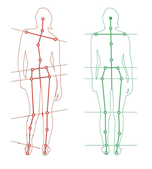 ANALYSIS OF THE BODY AS A WHOLE