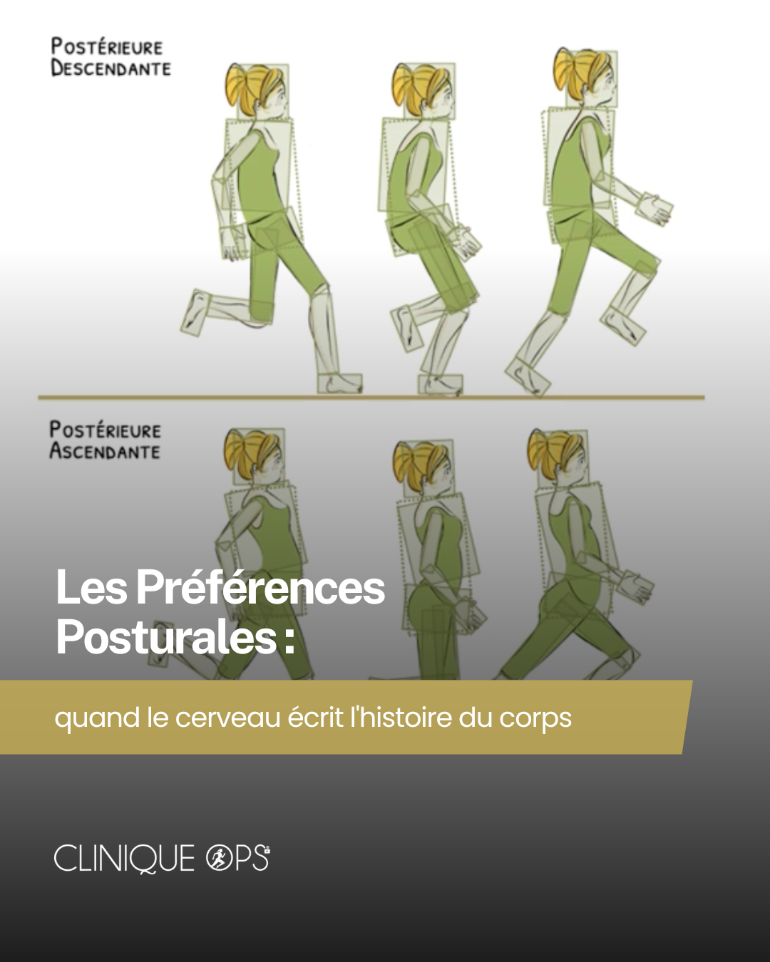 Les Pr&eacute;f&eacute;rences Posturales : quand le cerveau &eacute;crit l'histoire du corps